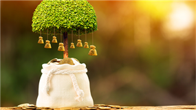Tax-Loss Harvesting: Taking Advantage of Opportunities