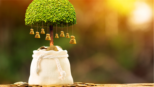 Tax-Loss Harvesting: Taking Advantage of Opportunities
