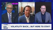 IFA's Mark Higgins on CNBC's ETF Edge